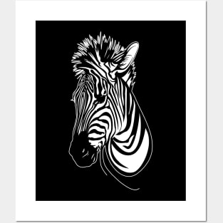 zebra Posters and Art